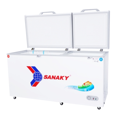 Tủ đông Sanaky VH-6699W1