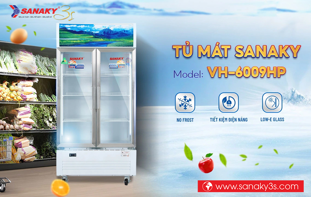 Tủ mát Sanaky DAVH-6009HP 2 cánh mở