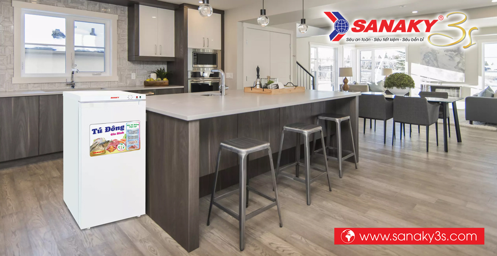 Tủ đông đứng Sanaky VH-160VD thiết kế mới