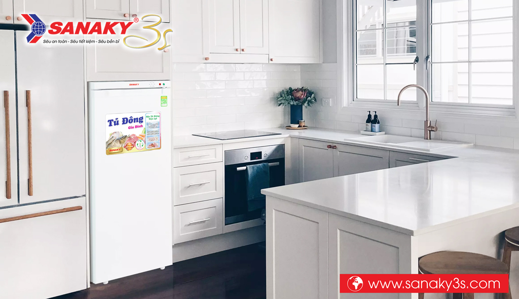 Tủ đông đứng Sanaky VH-180VD 150 Lít