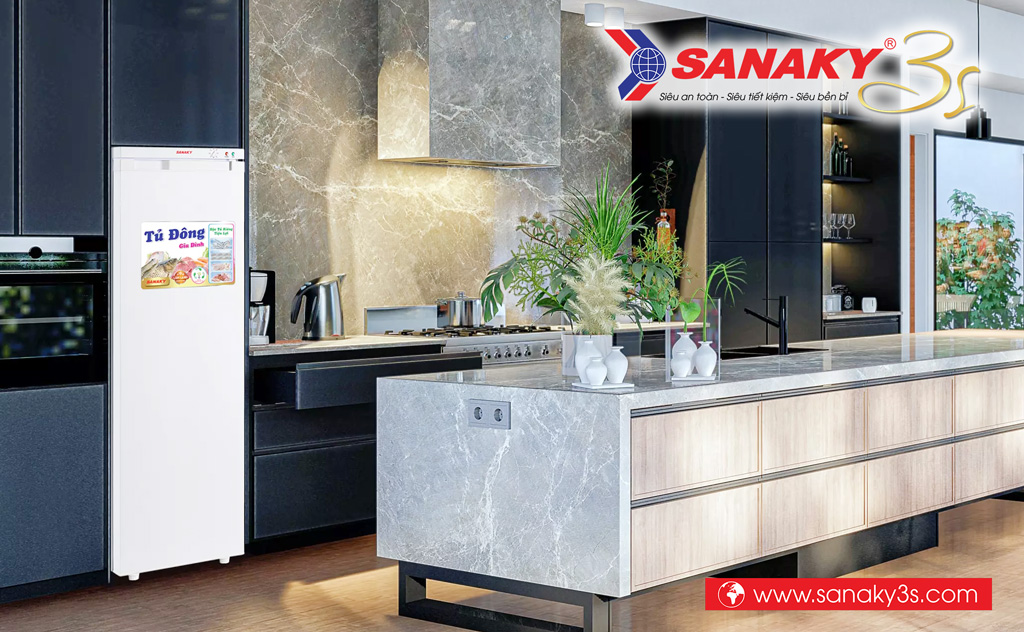 Tủ đông đứng Sanaky VH-230VD thiết kế mới
