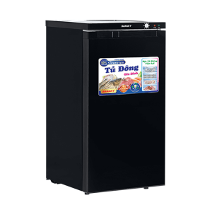 Tủ đông Sanaky VH-160VD3