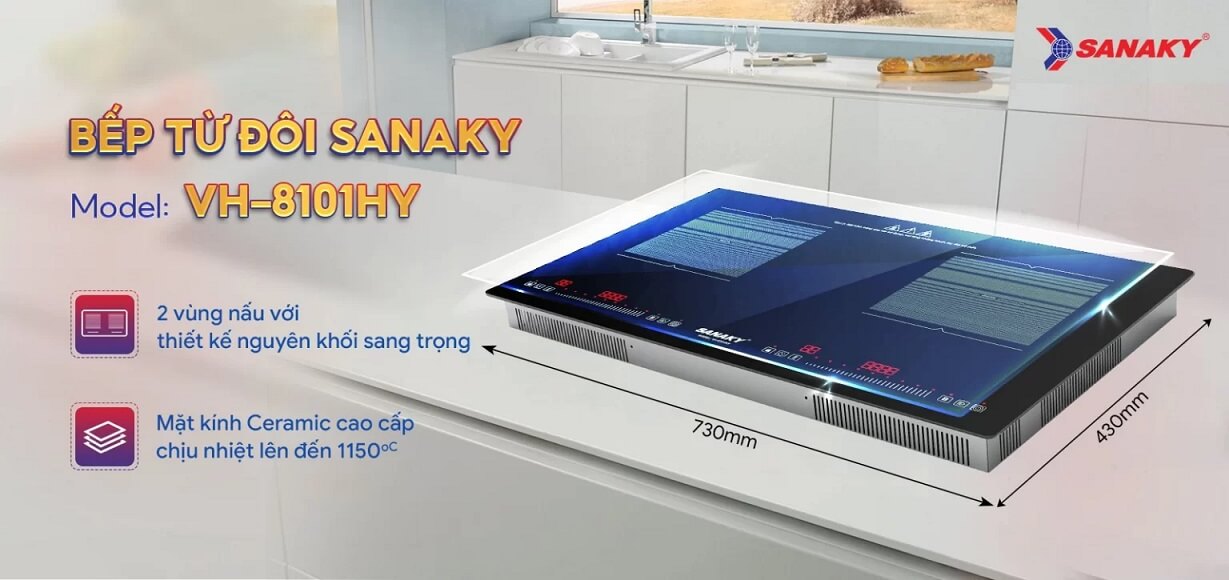 Bếp Từ Đôi Sanaky VH-4101HY