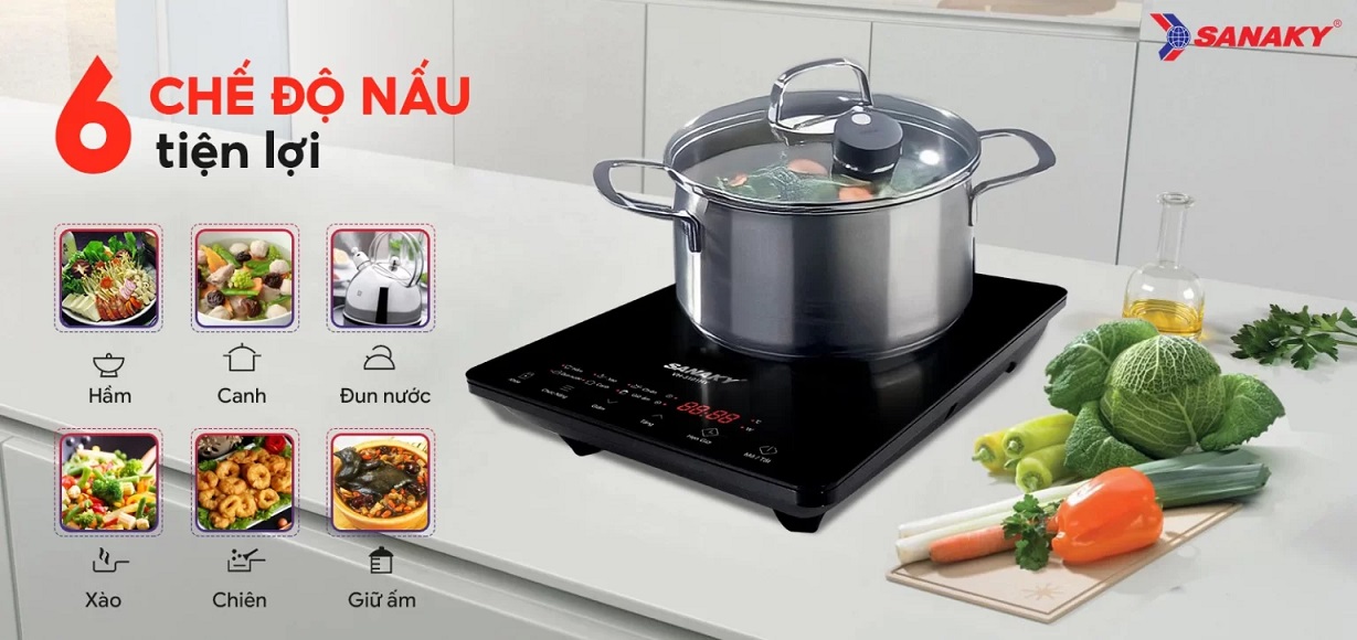 Bếp từ đơn Sanaky VH-6101HY