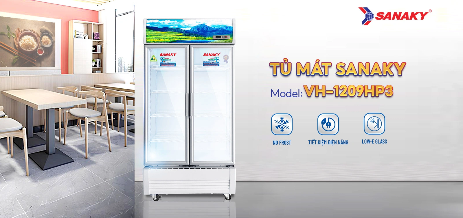 Tủ mát Sanaky giá bao nhiêu