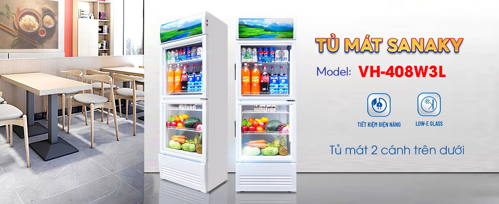 Tủ mát Sanaky giá bao nhiêu