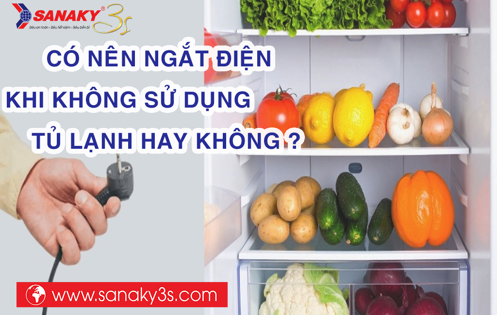 Có nên ngắt điện khi không sử dụng tủ lạnh hay không?