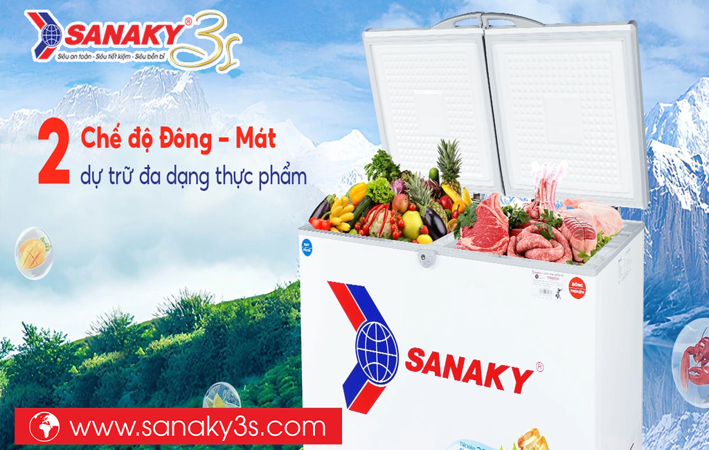 Tủ đông Sanaky VH-2899W1 220 Lít