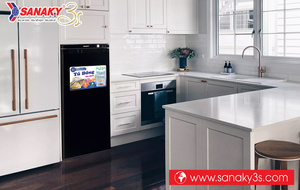 Tủ đông đứng Sanaky