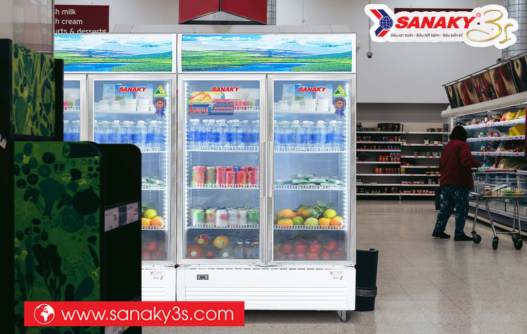 Tủ mát Sanaky DAVH-6009HP 500L