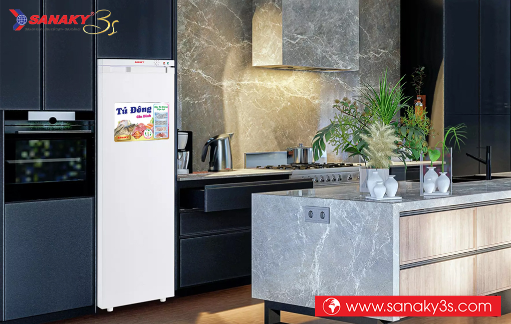 Tủ đông đứng Sanaky VH-230VD 213L