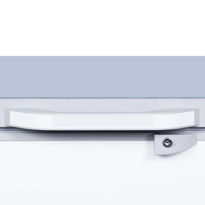 Mặt kính cường lực tủ đông sanaky VH-4099W4K